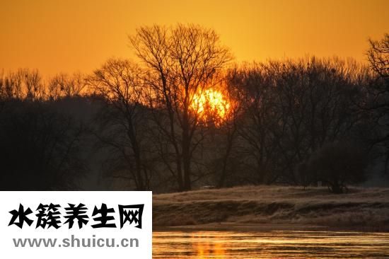 怎么发朋友圈