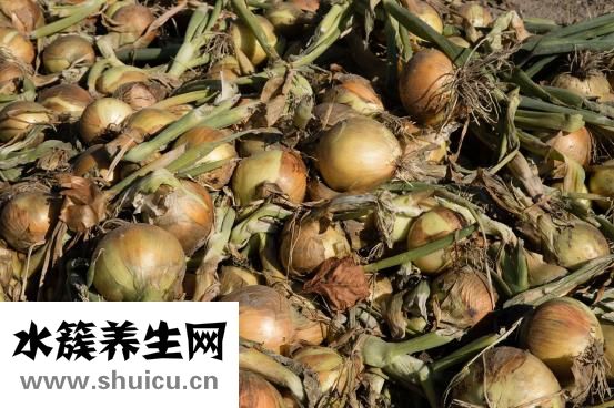 吗咖是什么