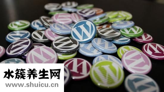 双离合是什么意思