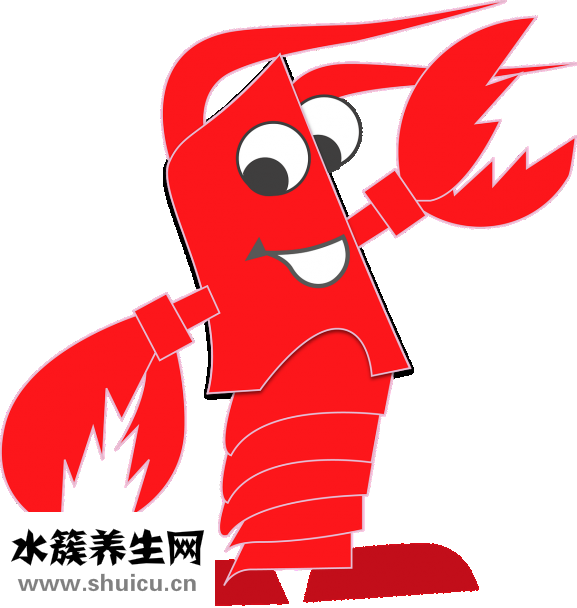 大虾怎么做