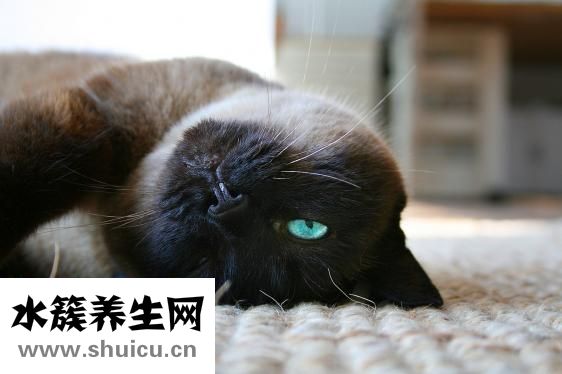 怎么画眼线