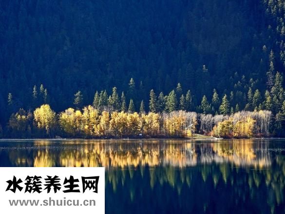 冬瓜汤怎么做
