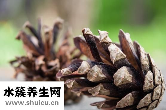 什么是甲状腺结节
