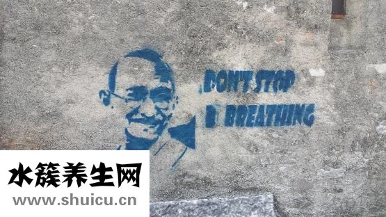 春天开什么花