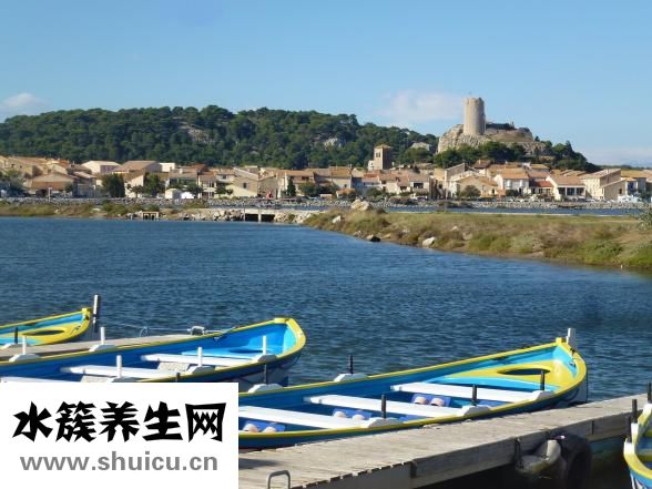 九华山在哪里