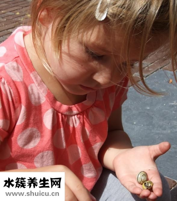怀孕初期应注意什么