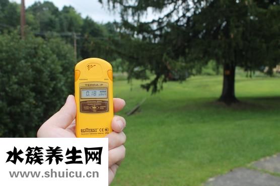 三维彩超可见胎宝宝的人体器官形状