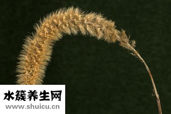 头发出油厉害怎么办