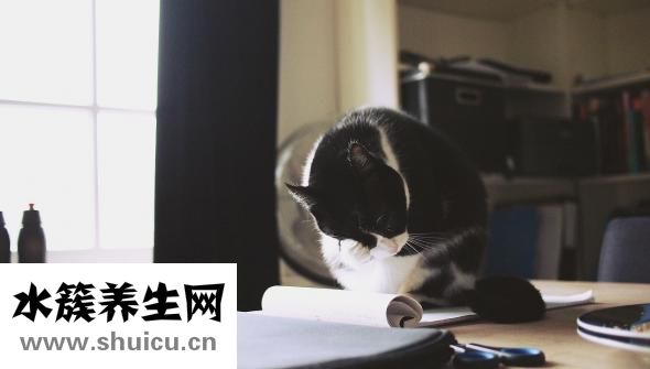 唐筛什么时候做