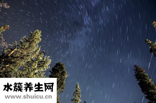 处男是什么意思