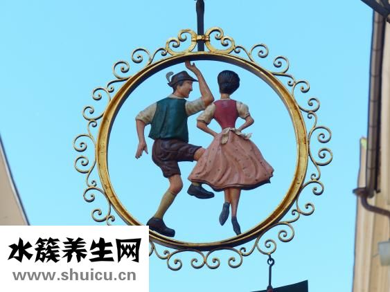 仙人球怎么养