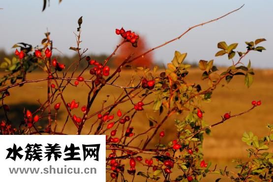 宝宝红屁股怎么办