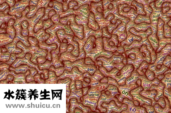 惊厥是什么意思