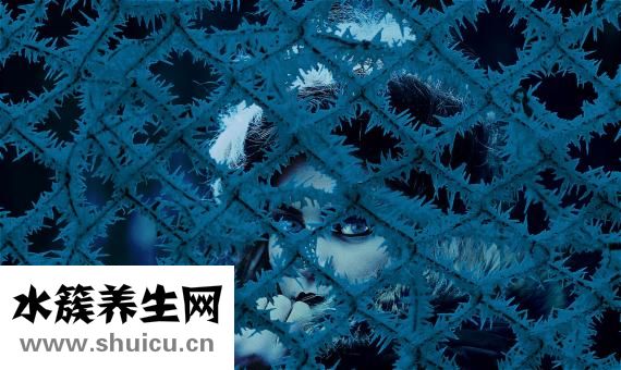 手脚冰冷是什么原因