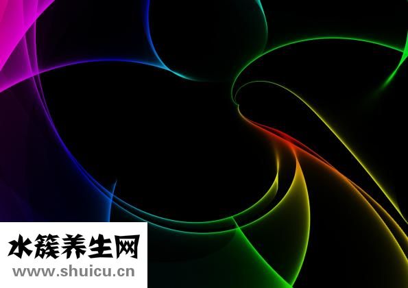 吃什么菜减肥