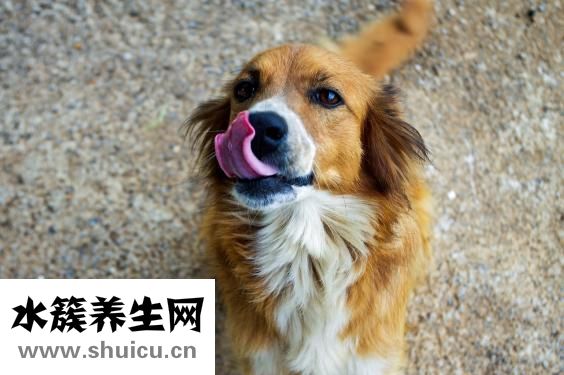假体隆鼻能保持多久
