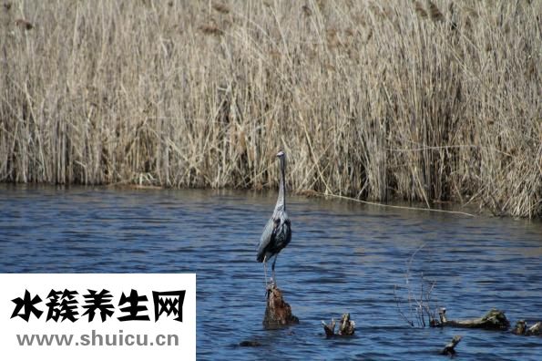 如何淡化皱纹