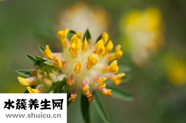 咽喉炎怎么办