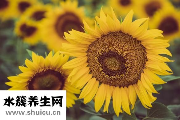 人为什么会晕车