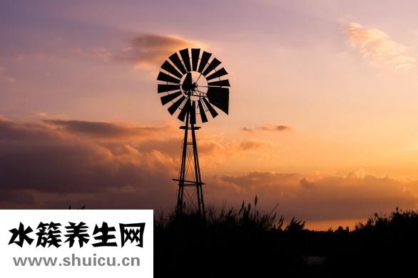 发烧吃什么