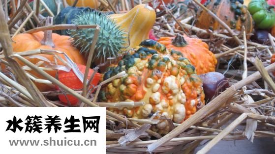 冬瓜汤怎么做
