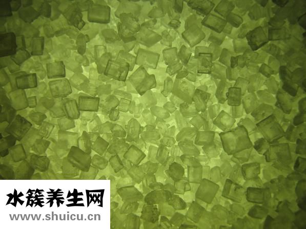 国籍怎么填