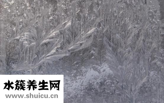手脚冰冷是什么原因