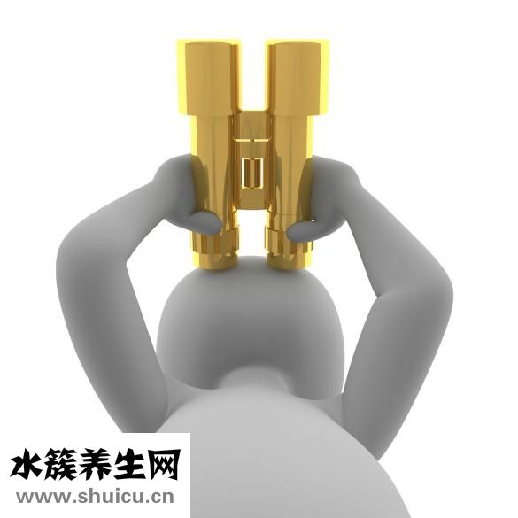 干什么挣钱呢