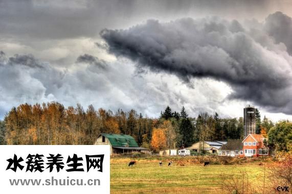 厌学怎么办