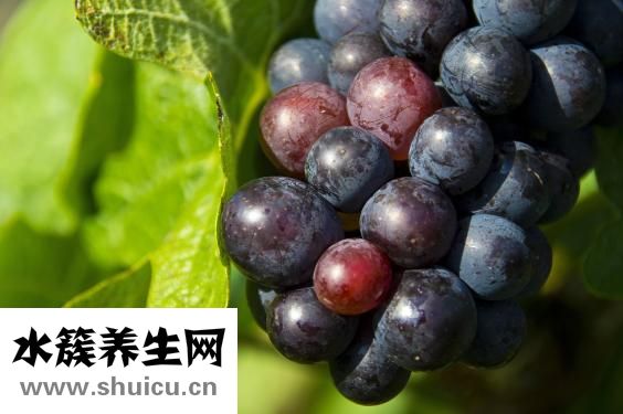 吃葡萄有什么好处