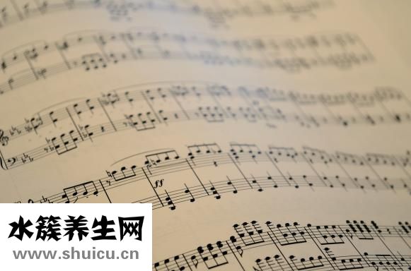 中出什么意思