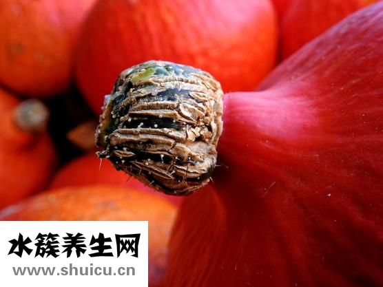 冬瓜汤怎么做