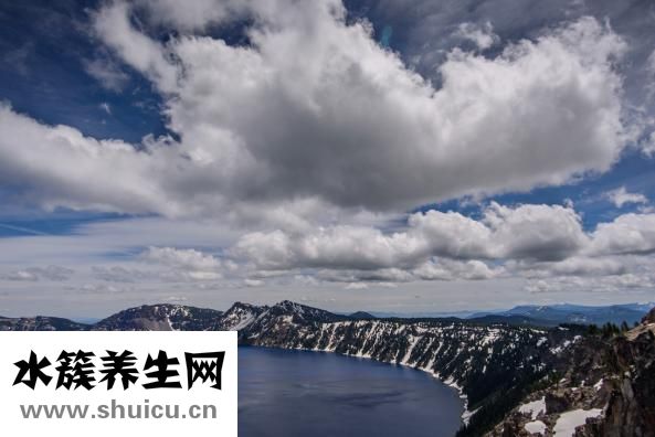 抄手怎么包