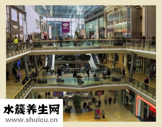 二次元是什么