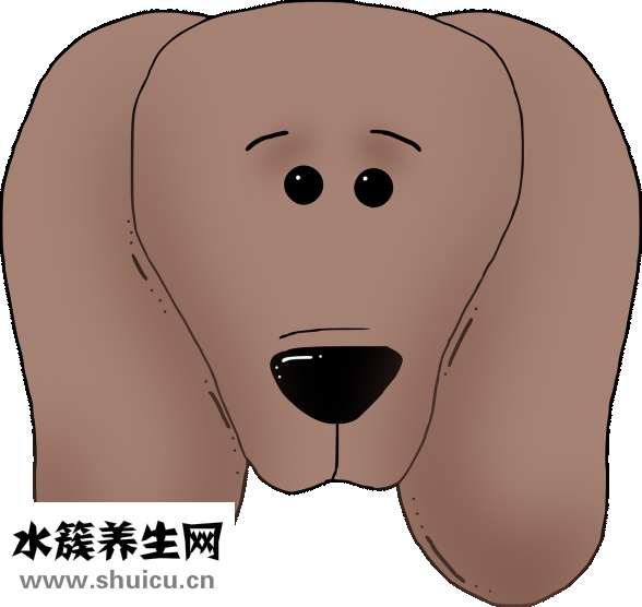 坐飞机耳朵疼怎么办