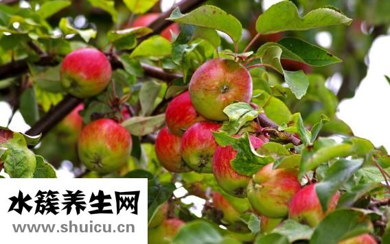 不停打嗝怎么办