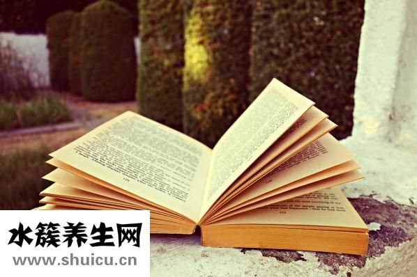 护发精油怎么用