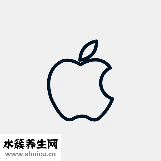 刺身是什么