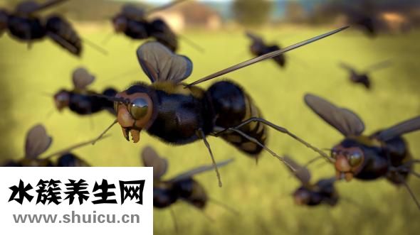 喉咙有痰怎么办