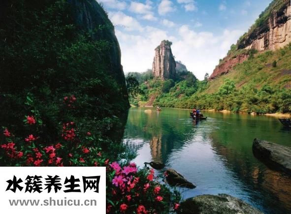 大红袍属于什么茶