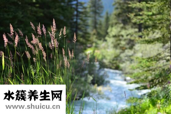 人生是什么