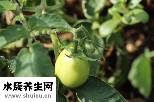怎么治疗黑眼圈