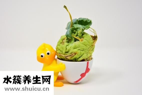 大头菜怎么做好吃