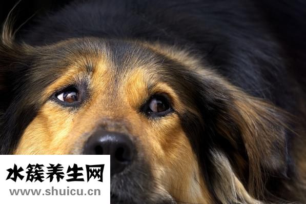 婴儿感冒鼻塞怎么办