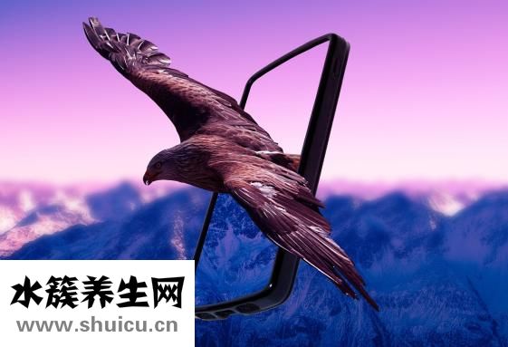 上吐下泻怎么办