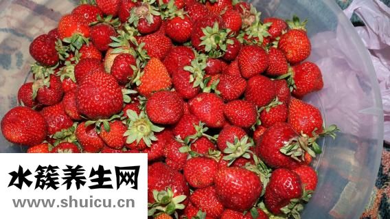 产妇可以吃什么水果