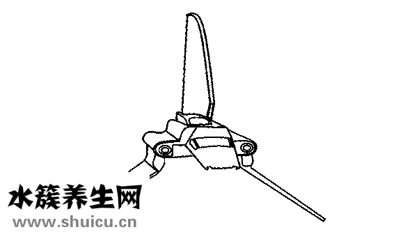 天梭表怎么样