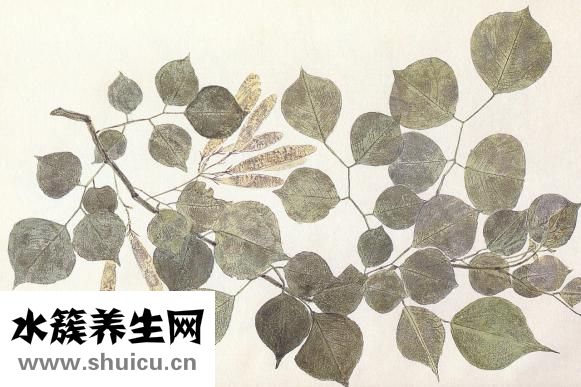 双下巴怎么办