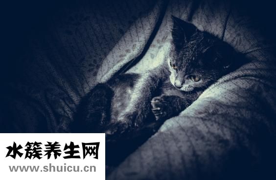 如何恢复近视眼