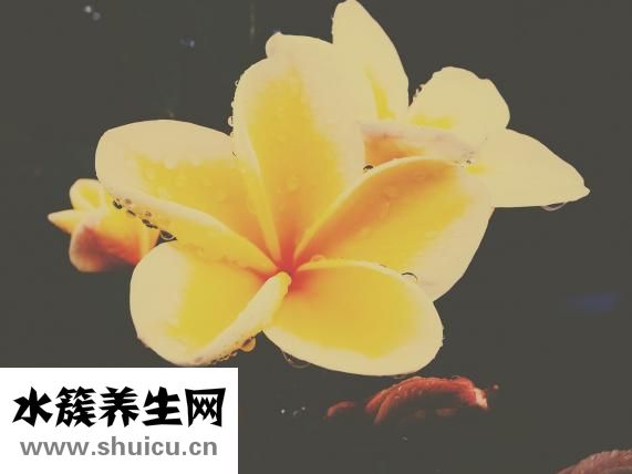 你都如何回忆我